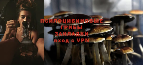 ПСИЛОЦИБИНОВЫЕ ГРИБЫ Аркадак