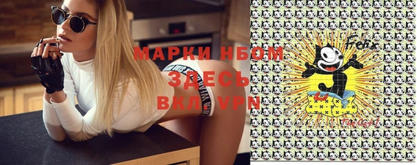 ПСИЛОЦИБИНОВЫЕ ГРИБЫ Аркадак
